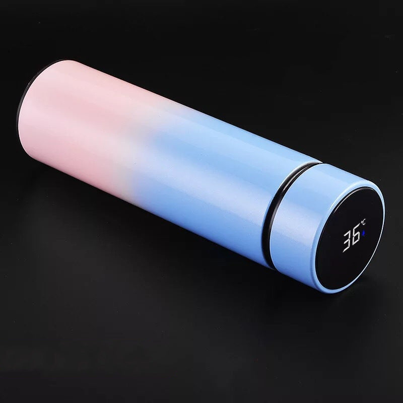 Smart Stainless Steel Vacuum Flask with Temperature Display